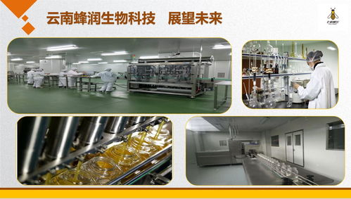 云南蜂潤集結愛心，科技助殘奧健兒出征